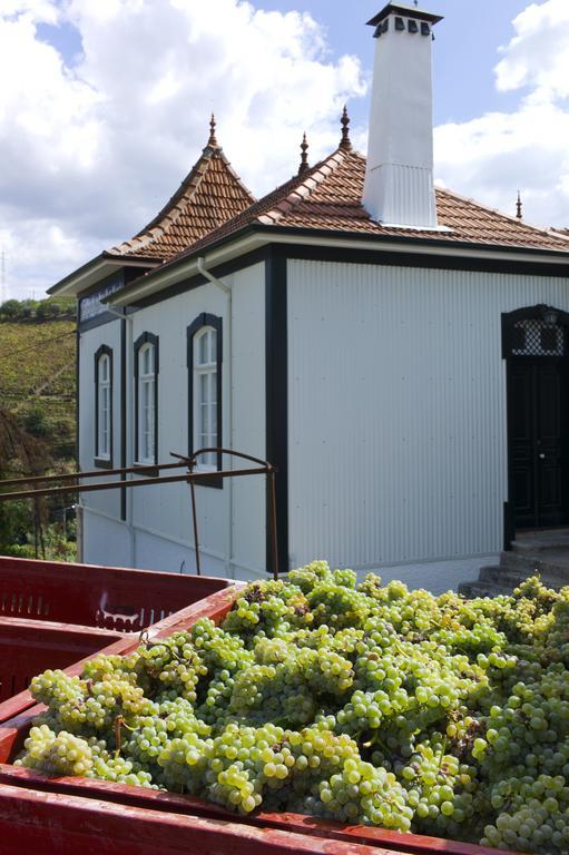 Casa De Cambres Guest House Lamego Luaran gambar