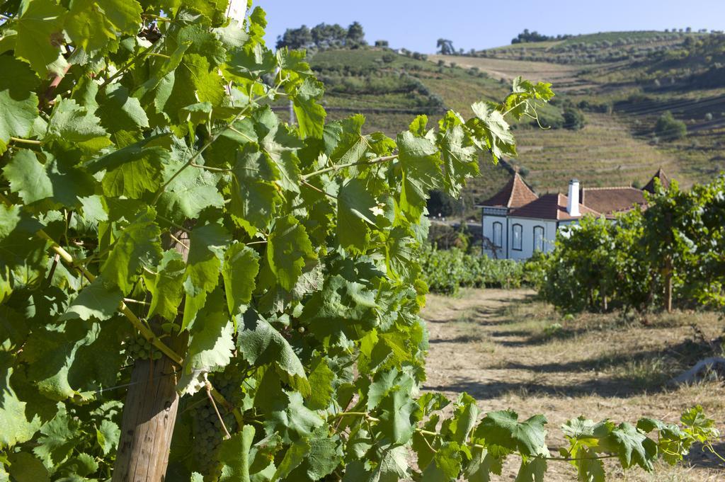 Casa De Cambres Guest House Lamego Luaran gambar